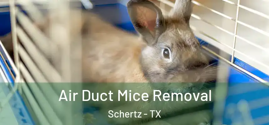  Air Duct Mice Removal Schertz - TX