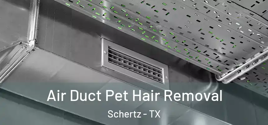  Air Duct Pet Hair Removal Schertz - TX