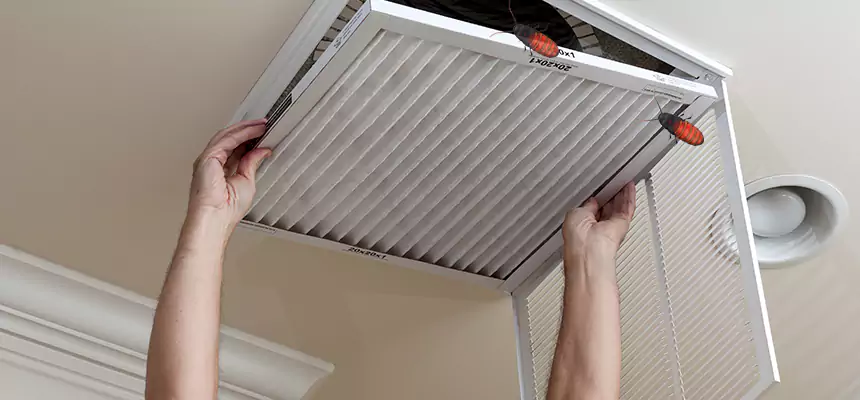 Our Insect Removal from Air Ducts Services in Schertz, TX