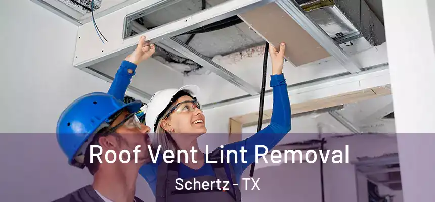  Roof Vent Lint Removal Schertz - TX