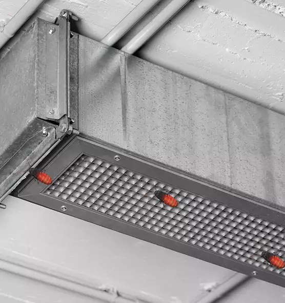 About Air Duct Cockroach Removal in Schertz, TX
