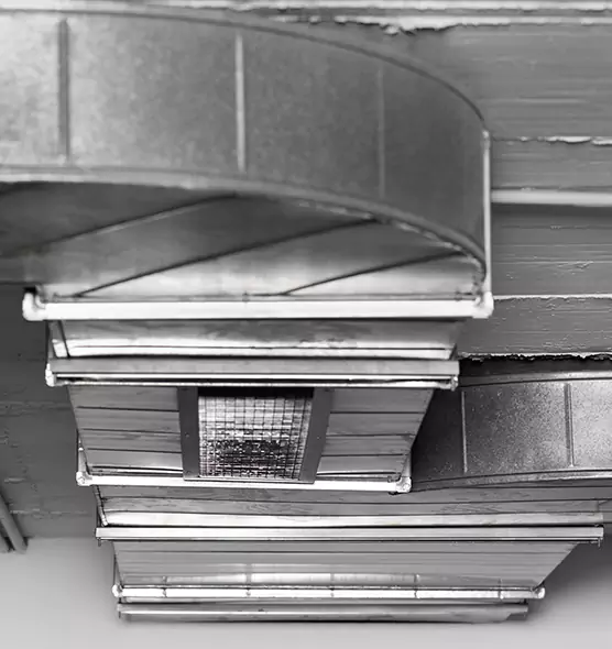 Professional Air Duct Pest Removal in Schertz, TX