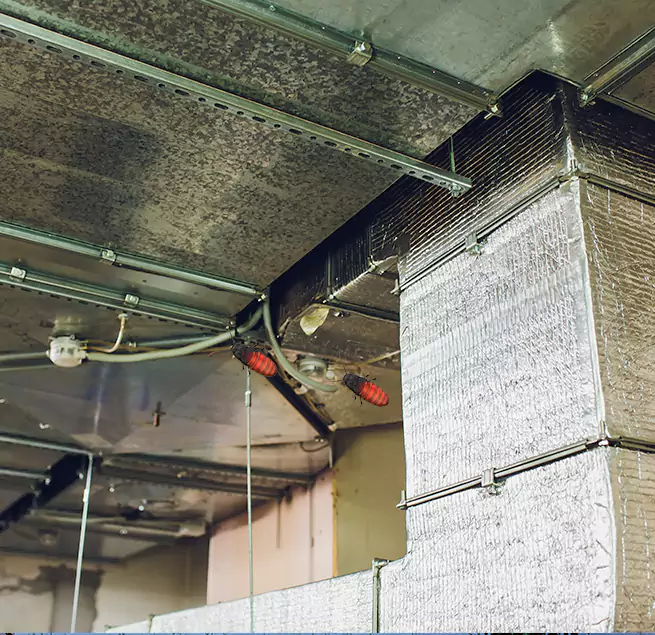 Why Homeowners & Businesses Trust Us in Schertz, TX?