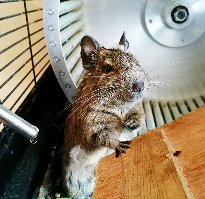 Why Homeowners & Businesses Trust Us Schertz, TX?