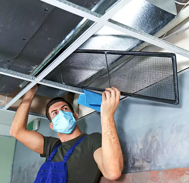 Why Homeowners Businesses Trust Us in Schertz, TX