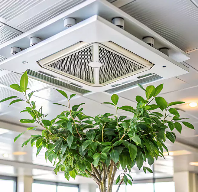 Why Homeowners & Businesses Trust Us in Schertz, TX?