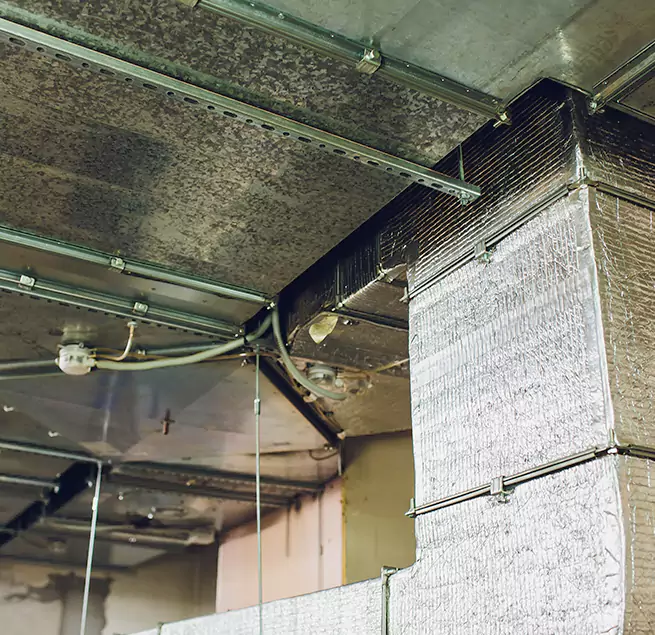 Why Homeowners & Businesses Trust Us in Schertz, TX?